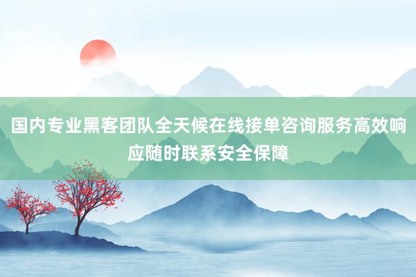 国内专业黑客团队全天候在线接单咨询服务高效响应随时联系安全保障